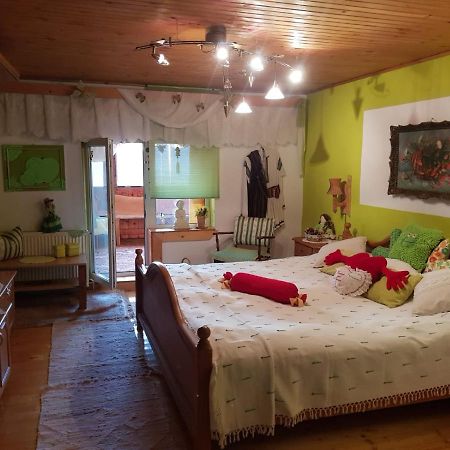 Littel Green Old Home Сігішоара Екстер'єр фото