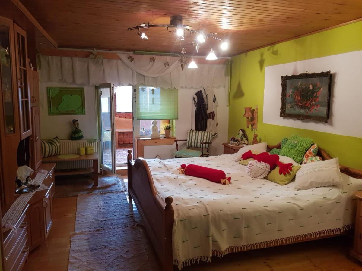 Littel Green Old Home Сігішоара Екстер'єр фото
