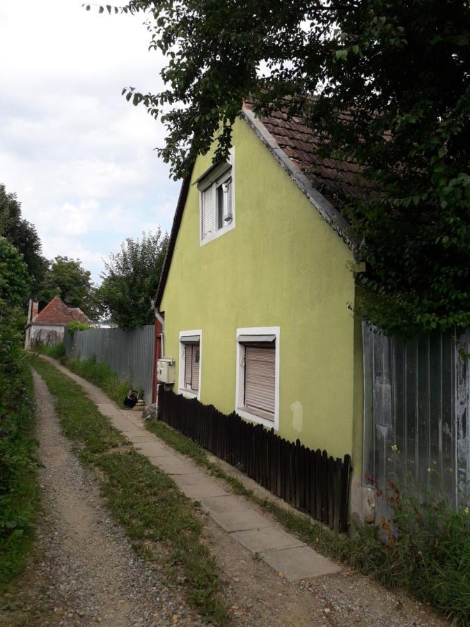 Littel Green Old Home Сігішоара Екстер'єр фото